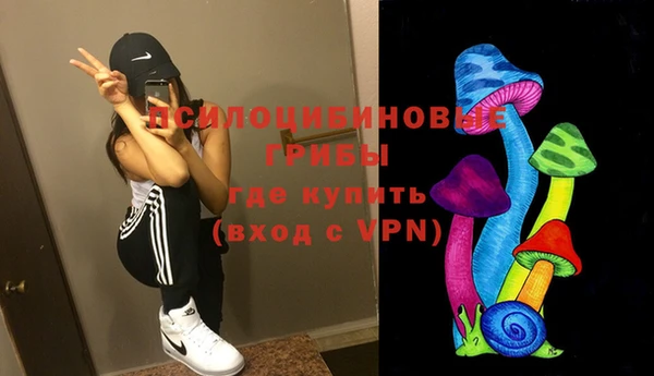эйфоретик Заводоуковск