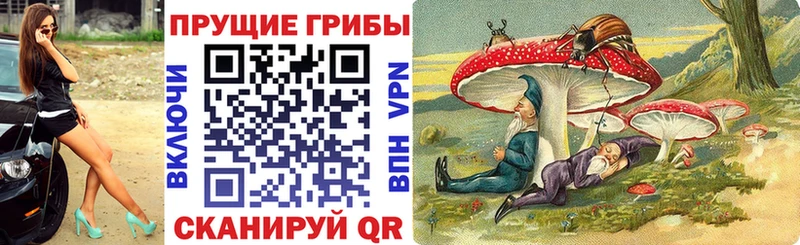 Купить где  Смоленск  Галлюциногенные грибы ЛСД 